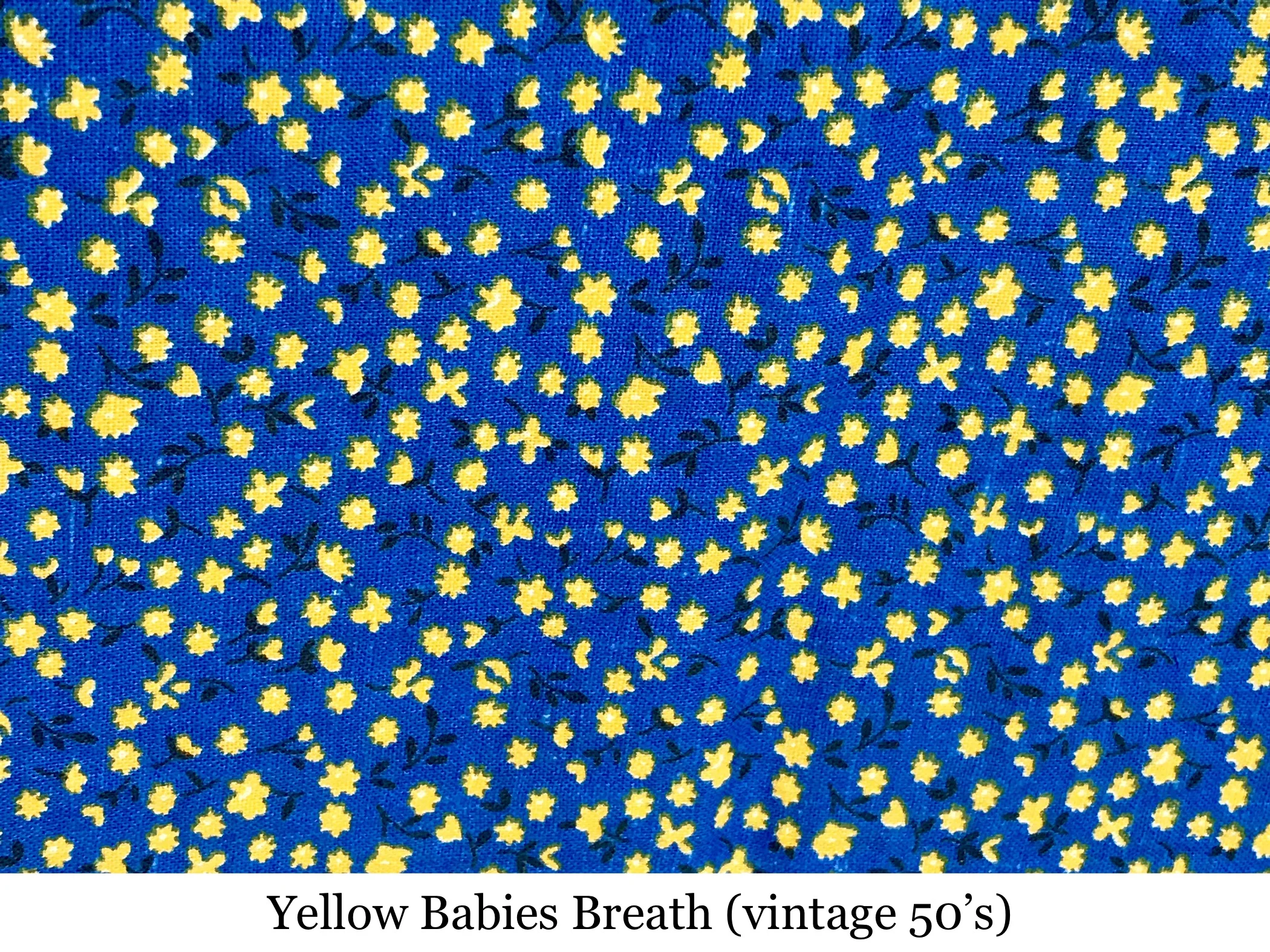E89C30FE-BD51-4955-95E4-E47C5F2BAAA3.jpeg