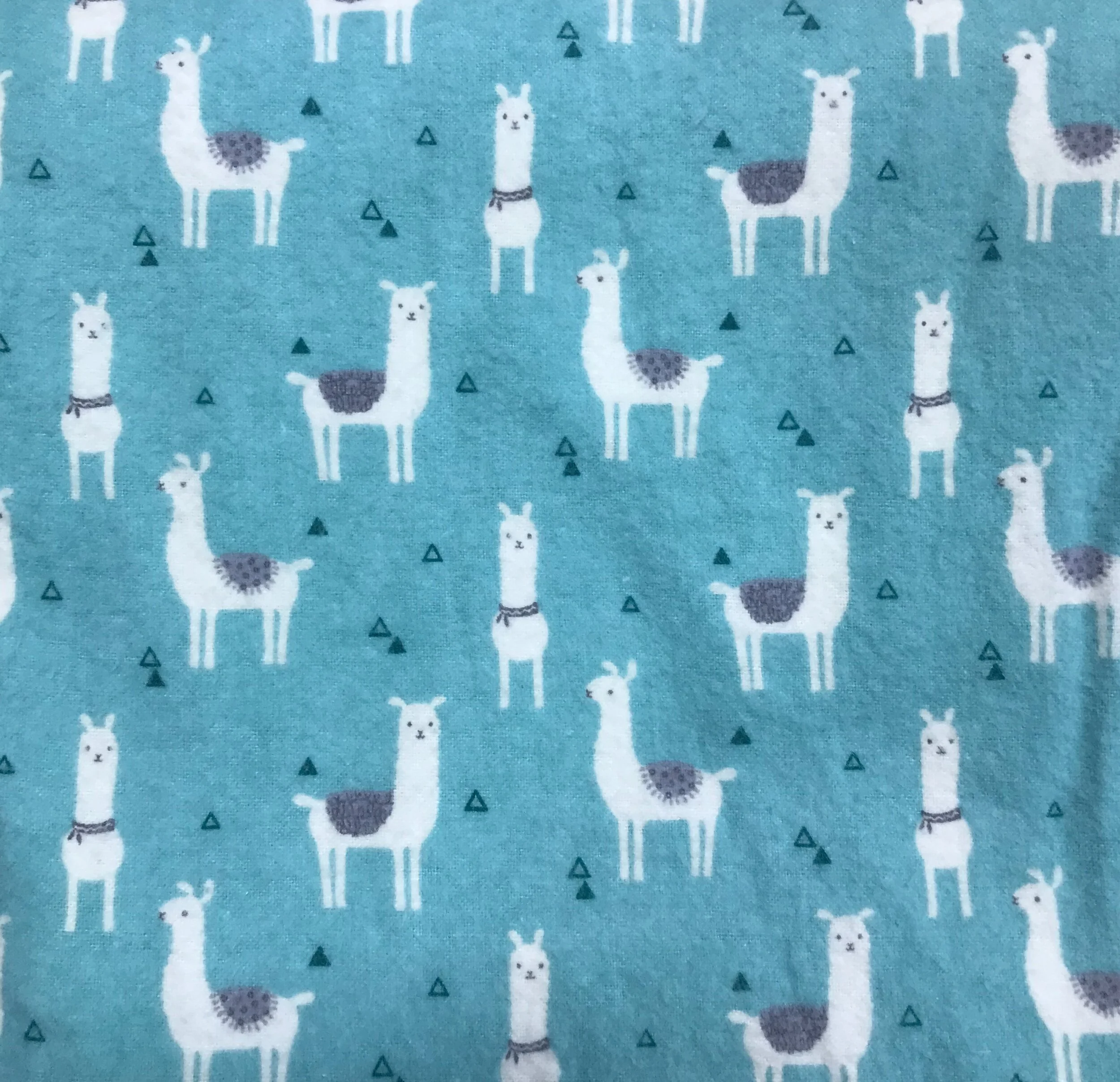 Llama Turquoise.jpg