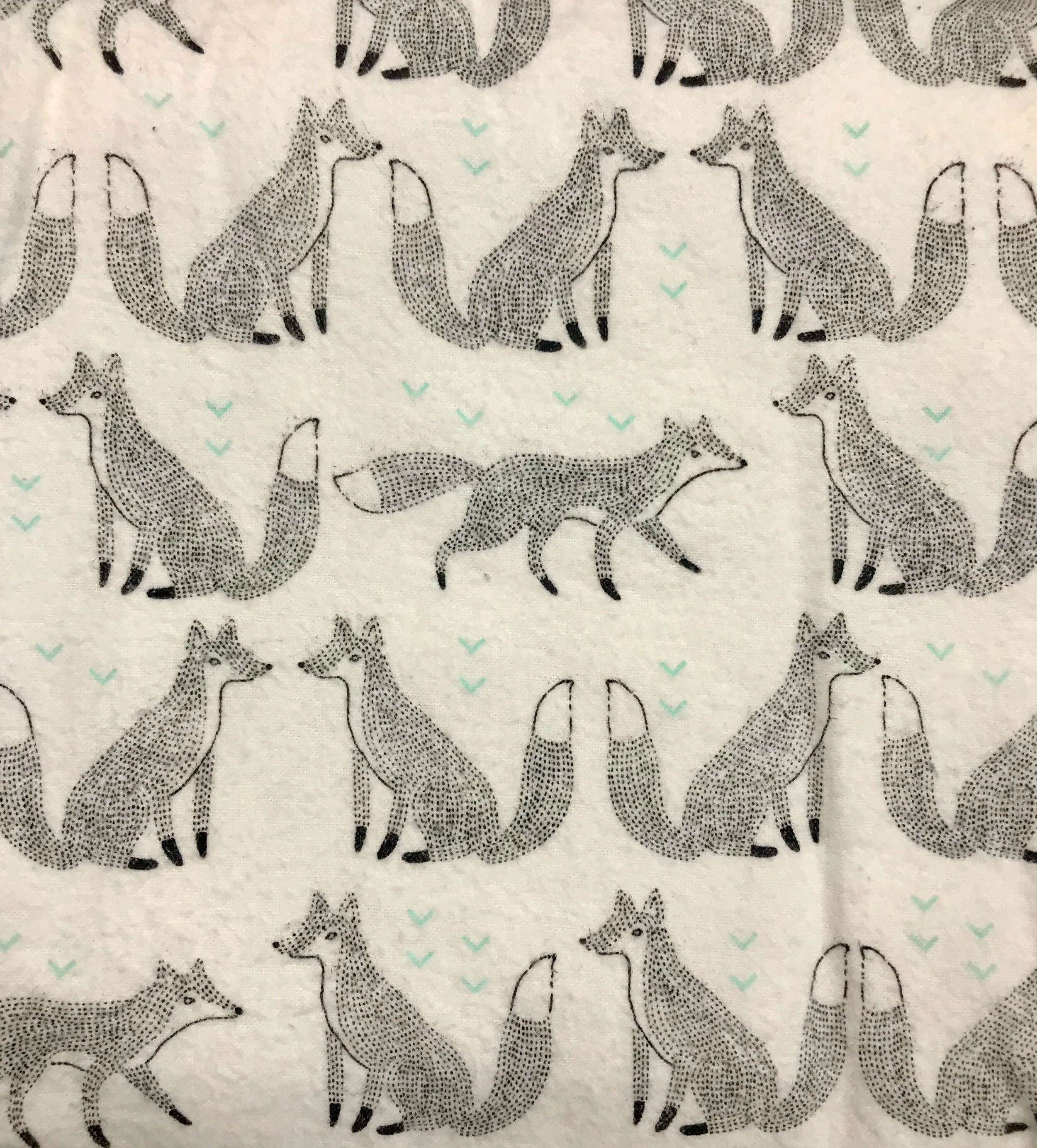 Foxes White.jpg