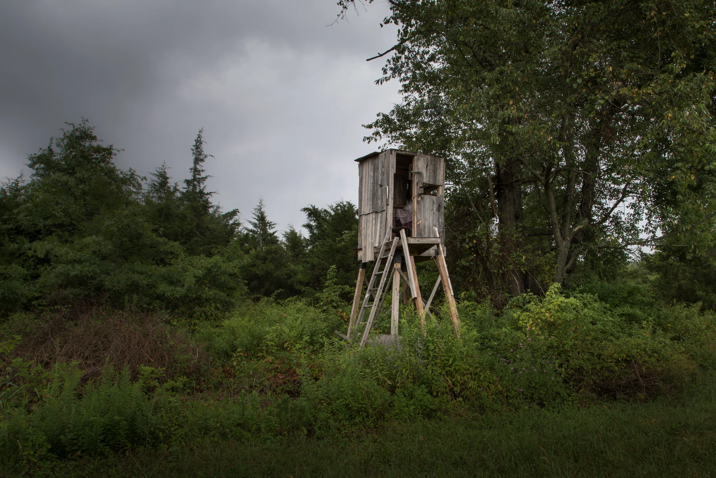 Deer Stand, 2014