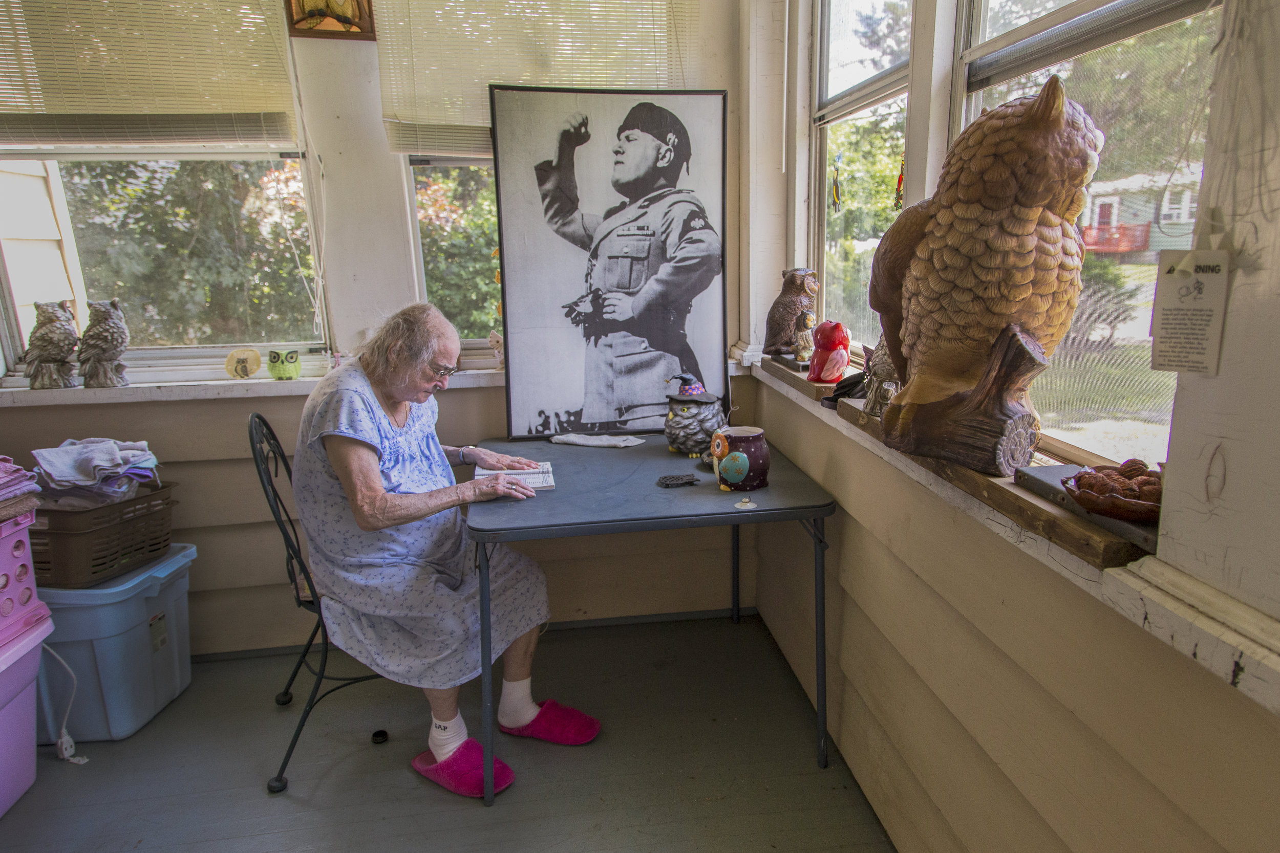 Mussolini and the Owls, 2015