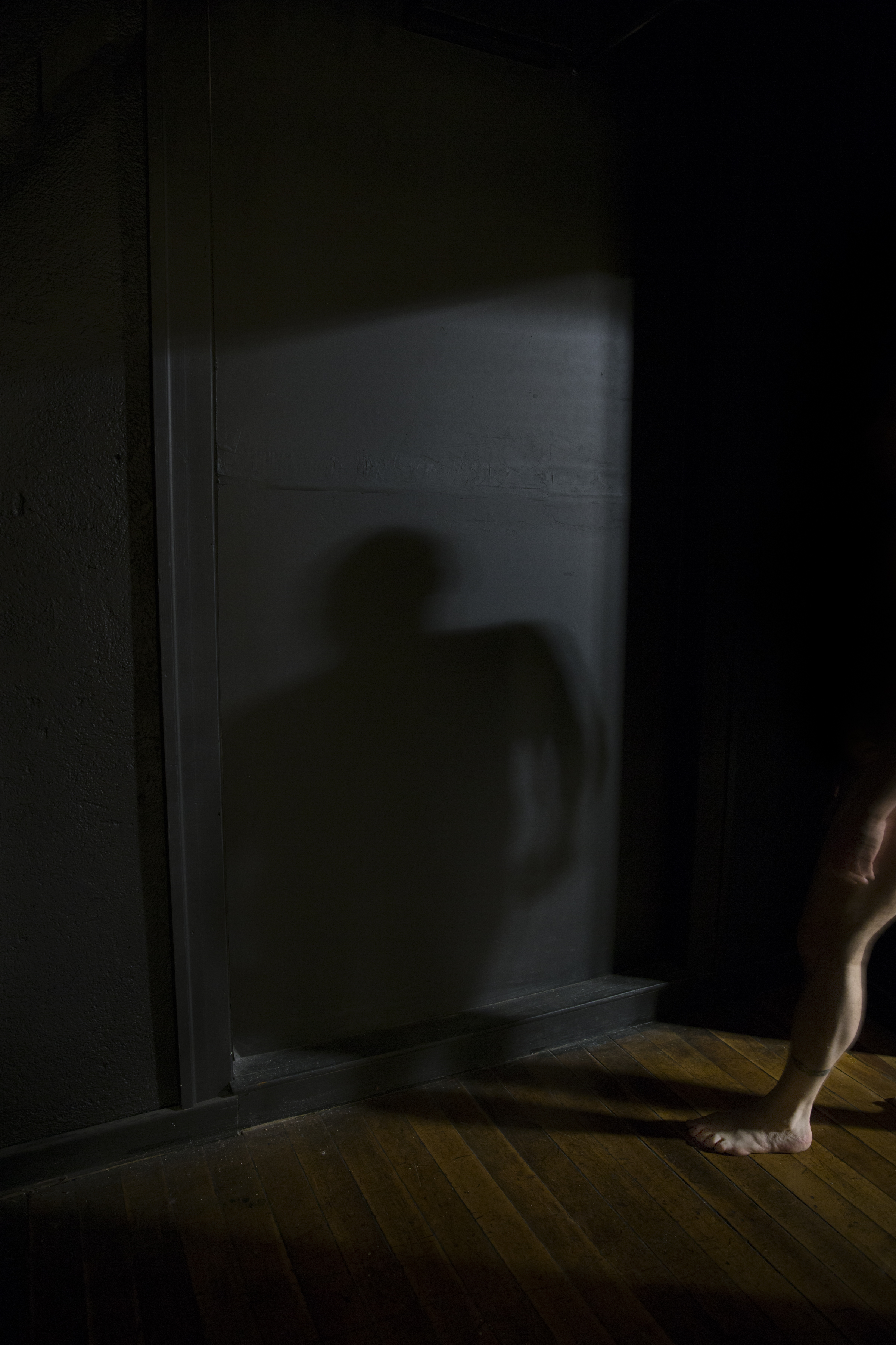 Shadow Self, 2016