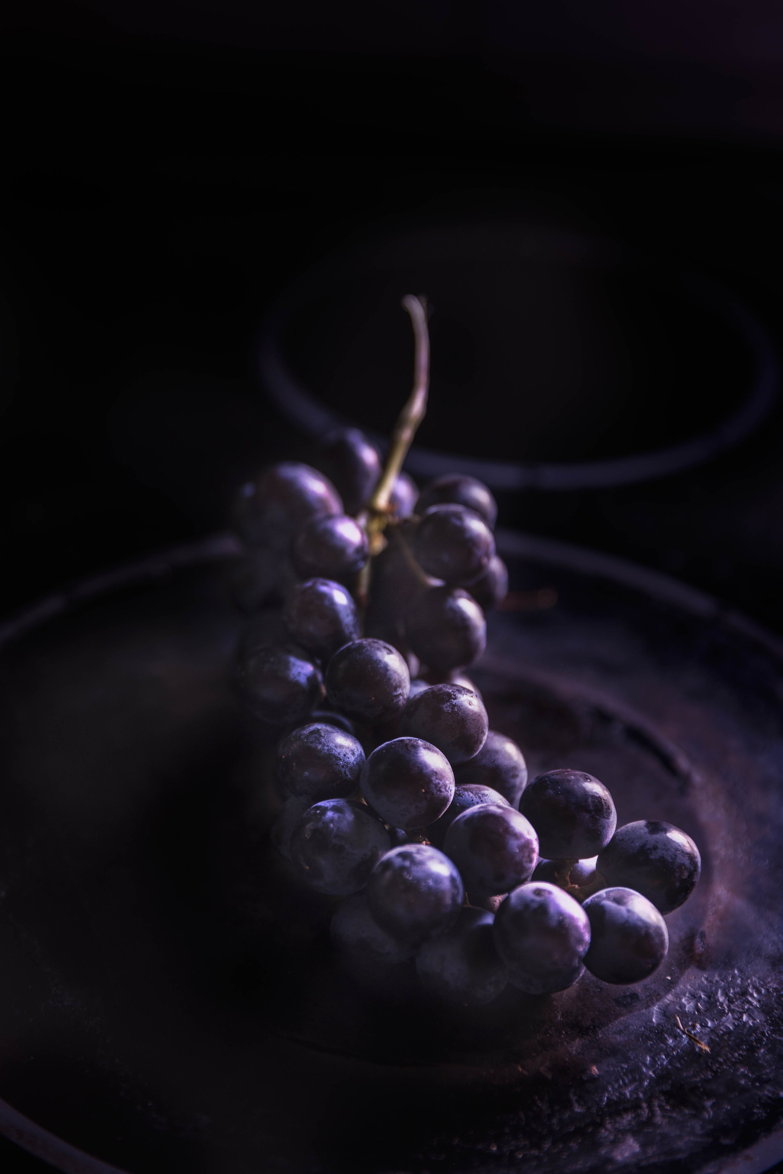 Grape Noir, 2022
