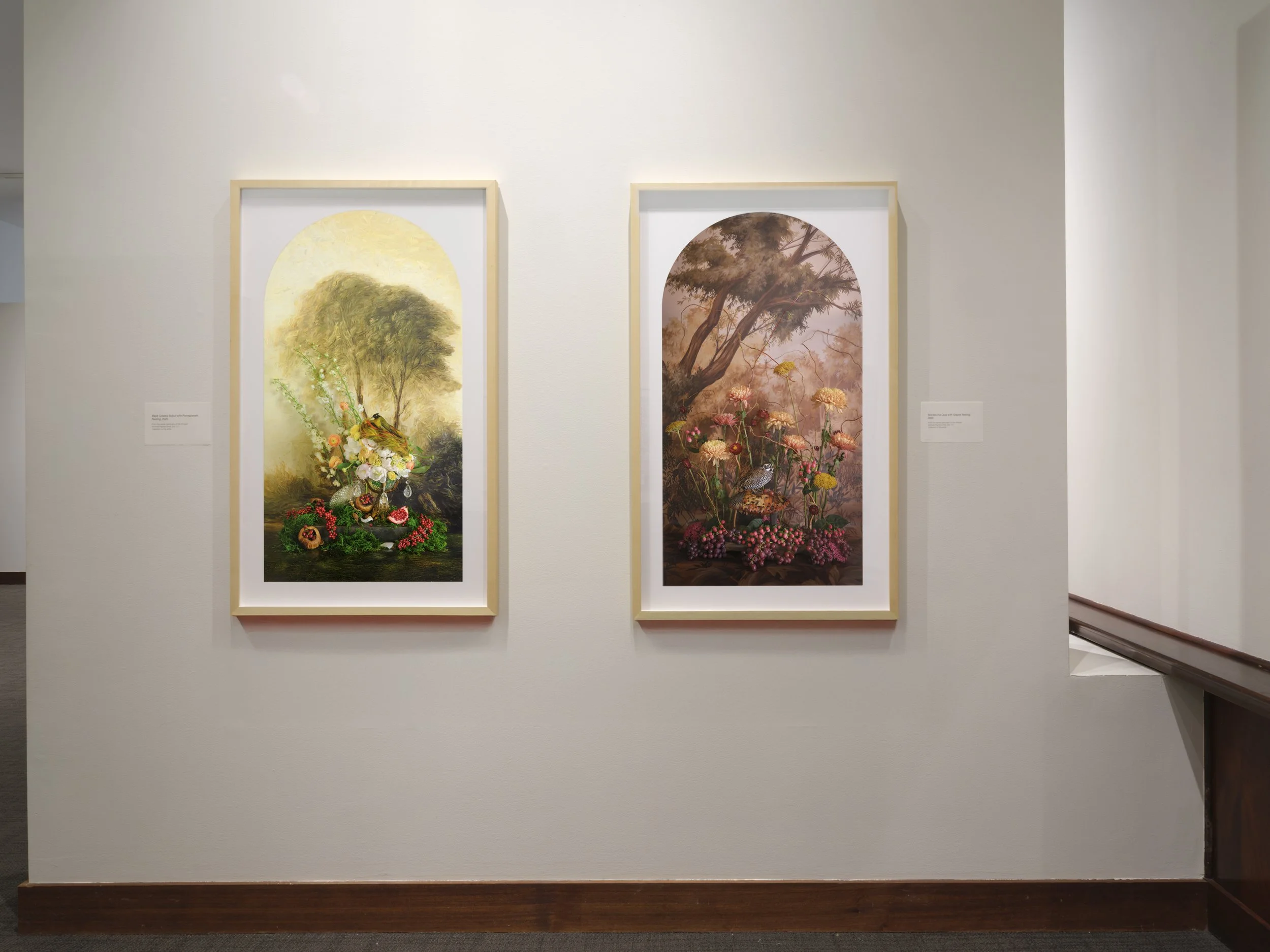 Montclair Art Museum, Montclair NJ