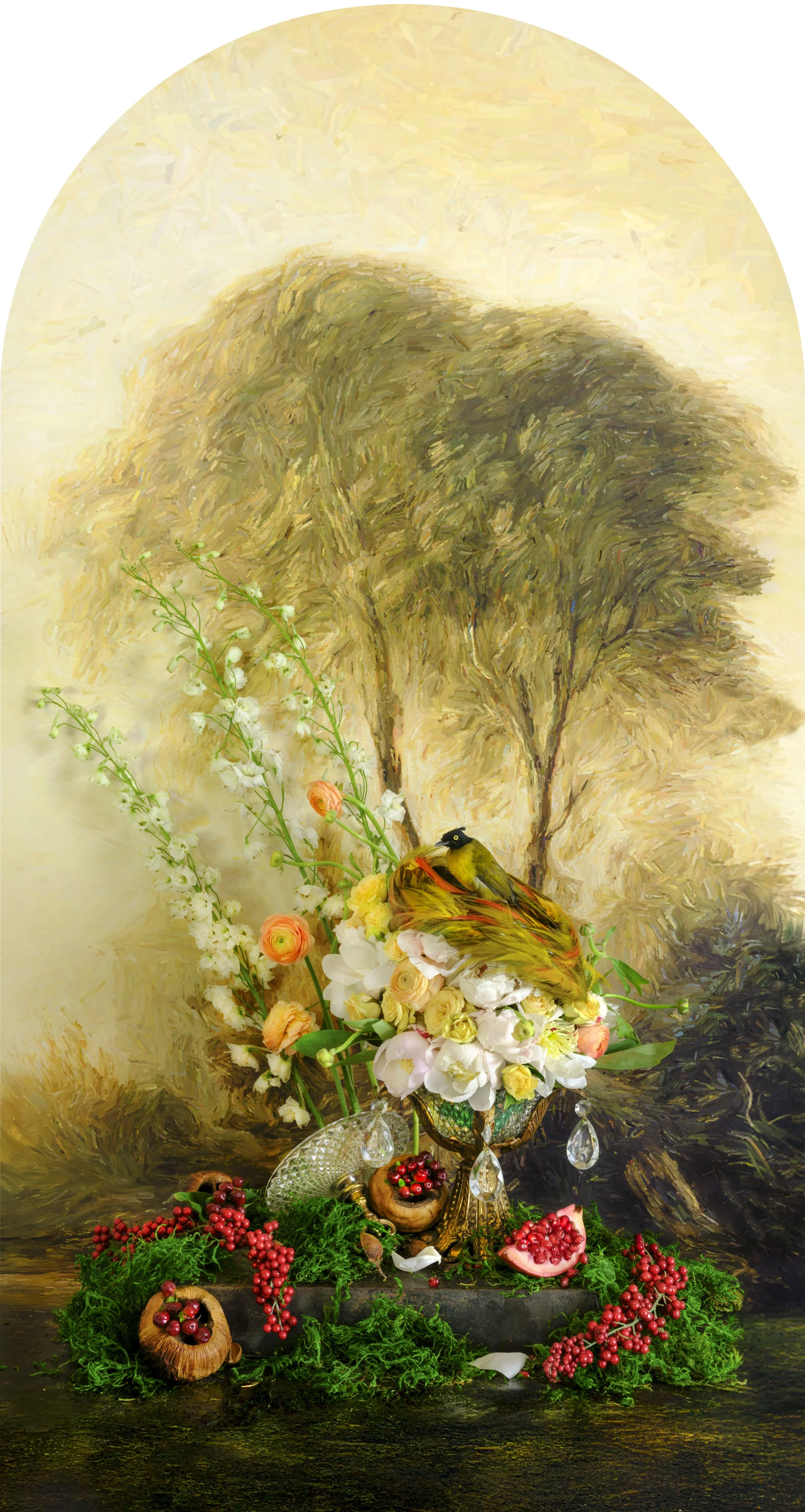 Black Crested Bulbul with Pomegranate Nesting, 2025