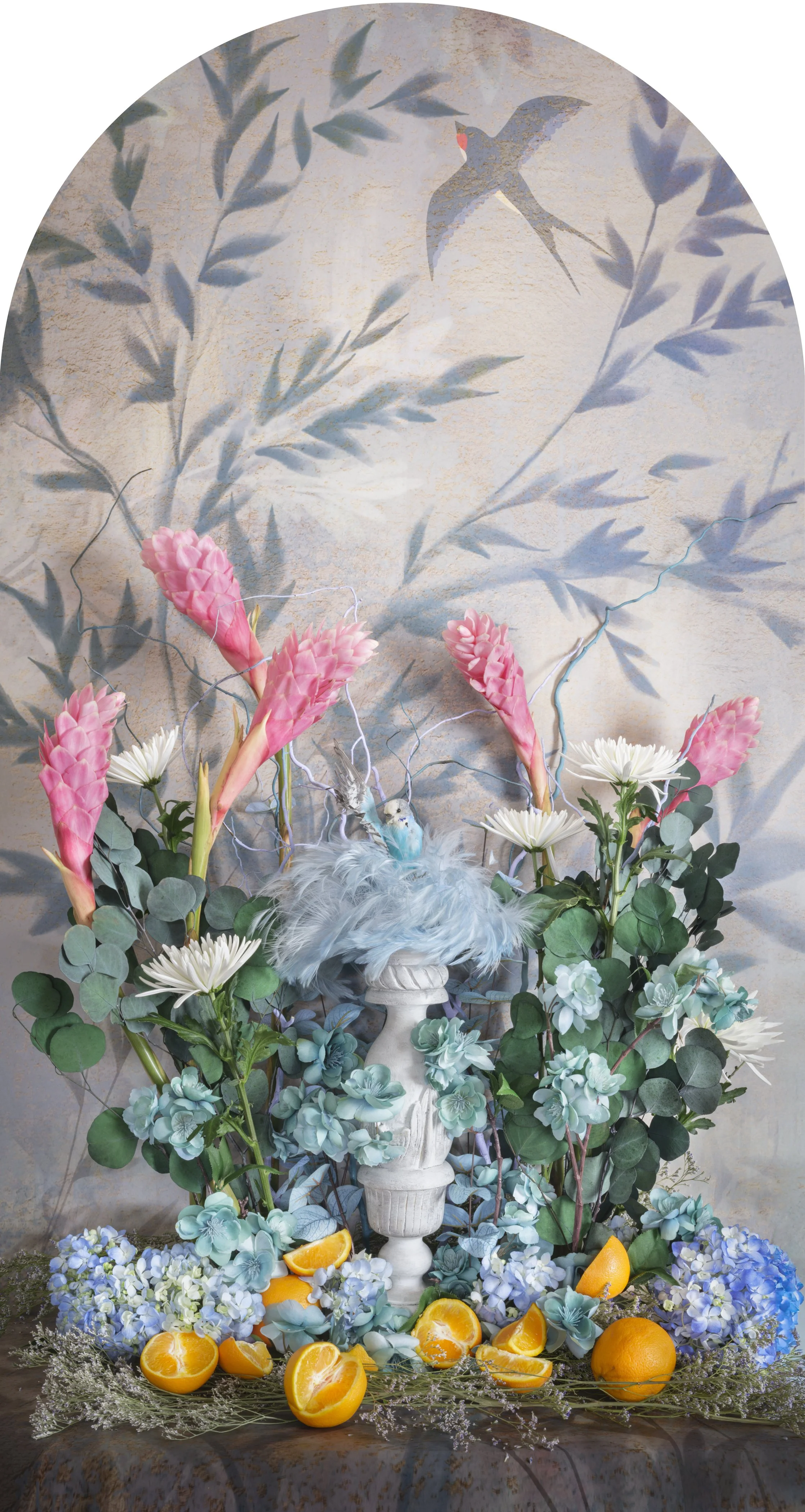 Blue Budgerigar with Orange Nesting, 2026