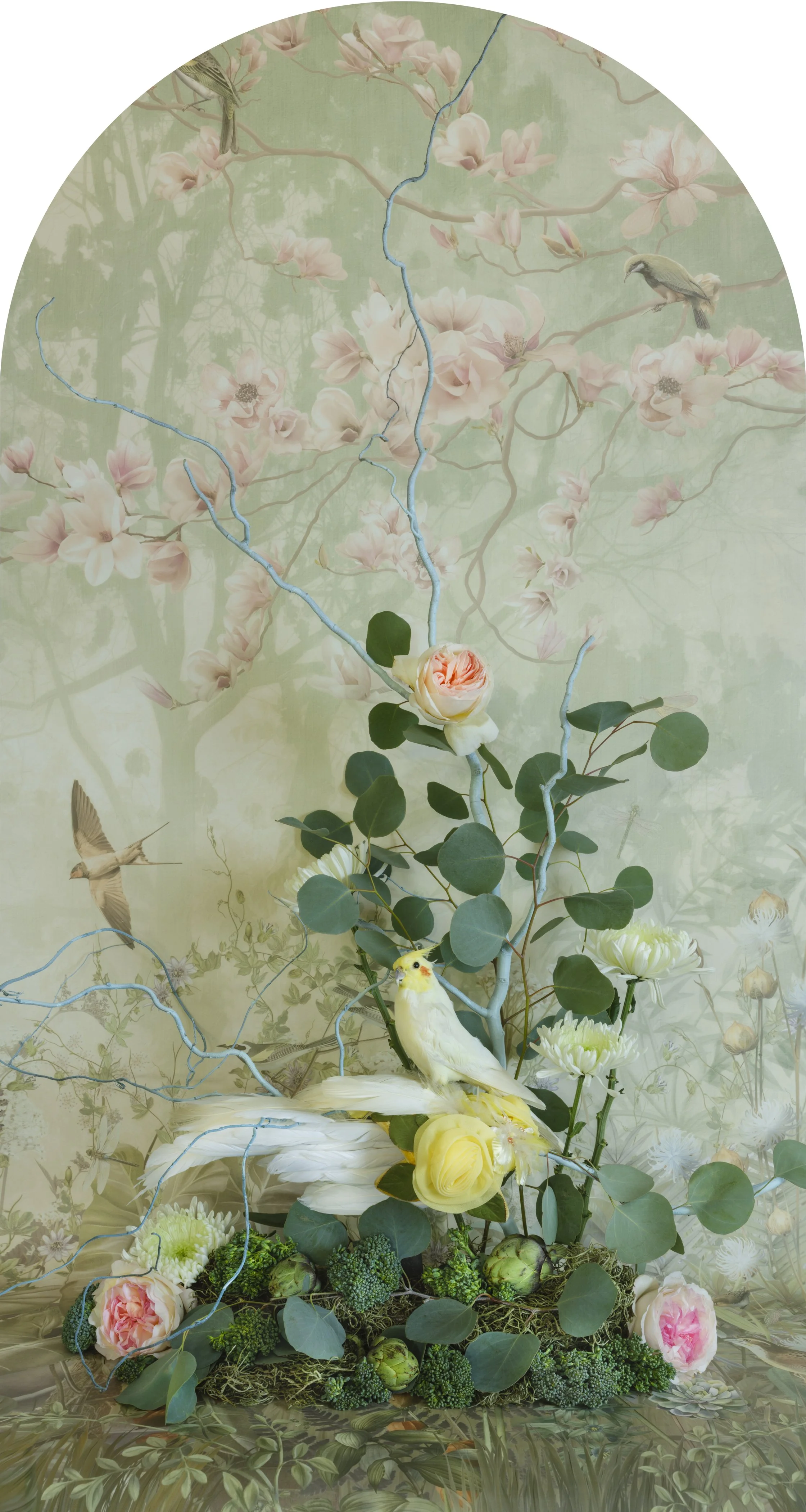 Cockatiel with Broccoli Nesting, 2026