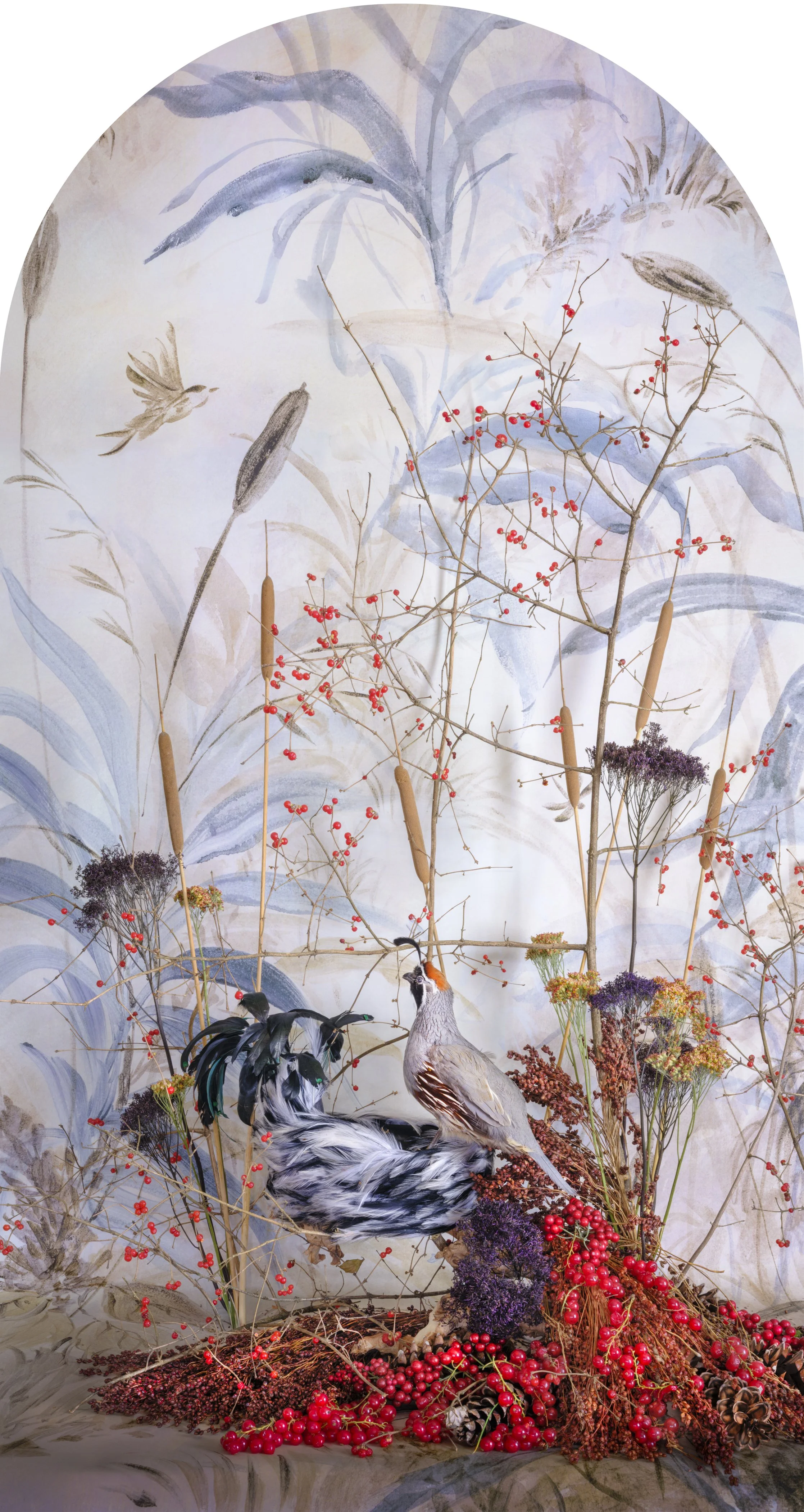 Gambel's Quail with Berries Nesting, 2026