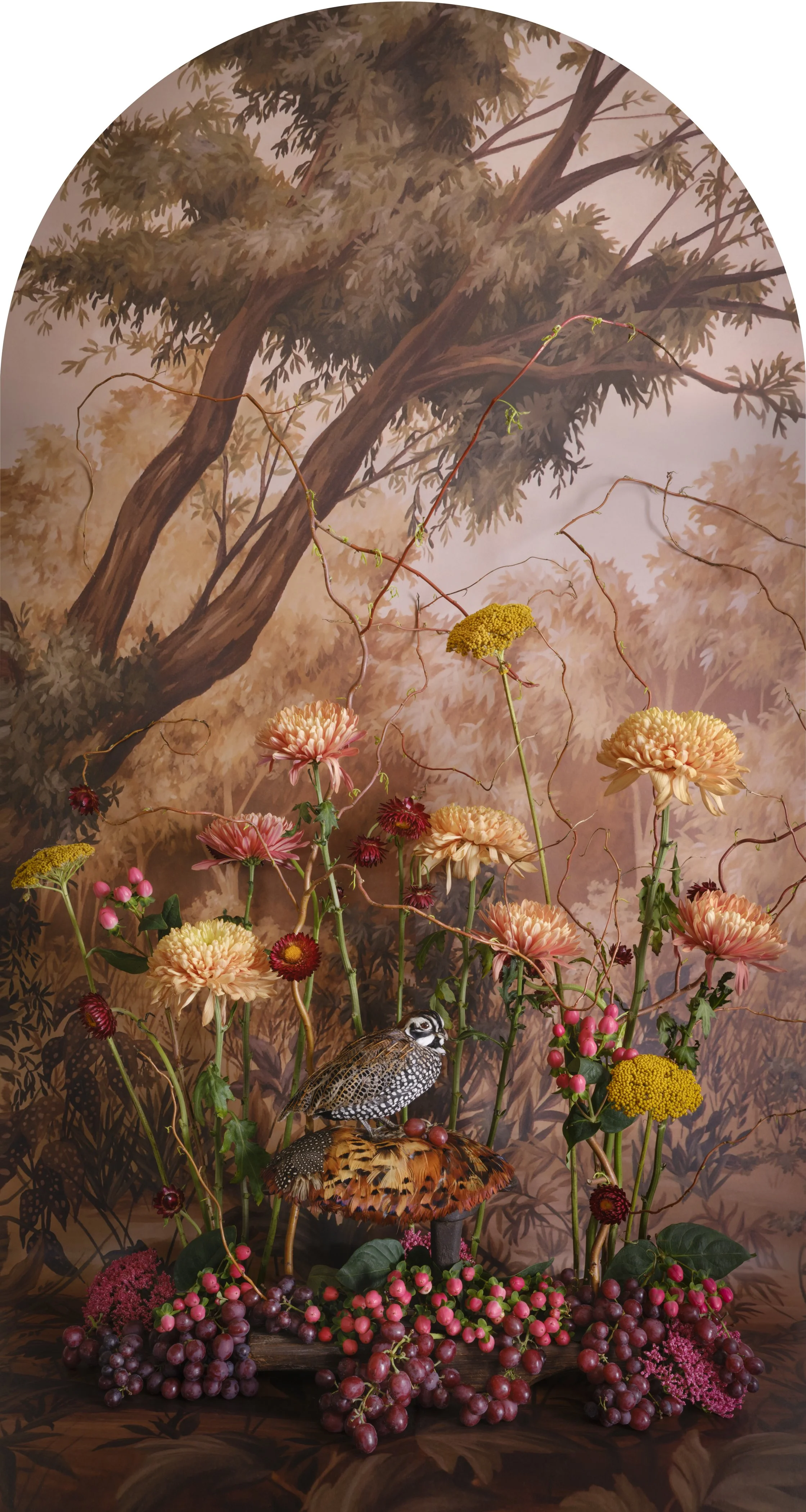 Montezuma Quail with Grapes Nesting, 2025