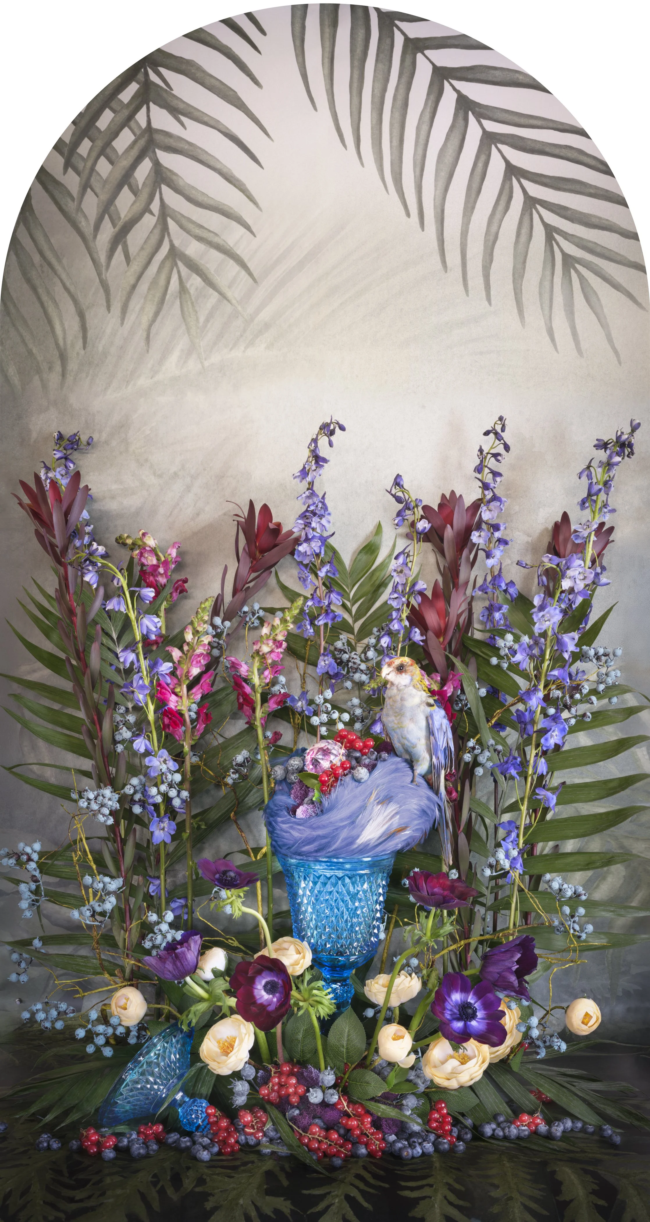 Pale-Headed Rosella with Blueberry Currant Nesting, 2026