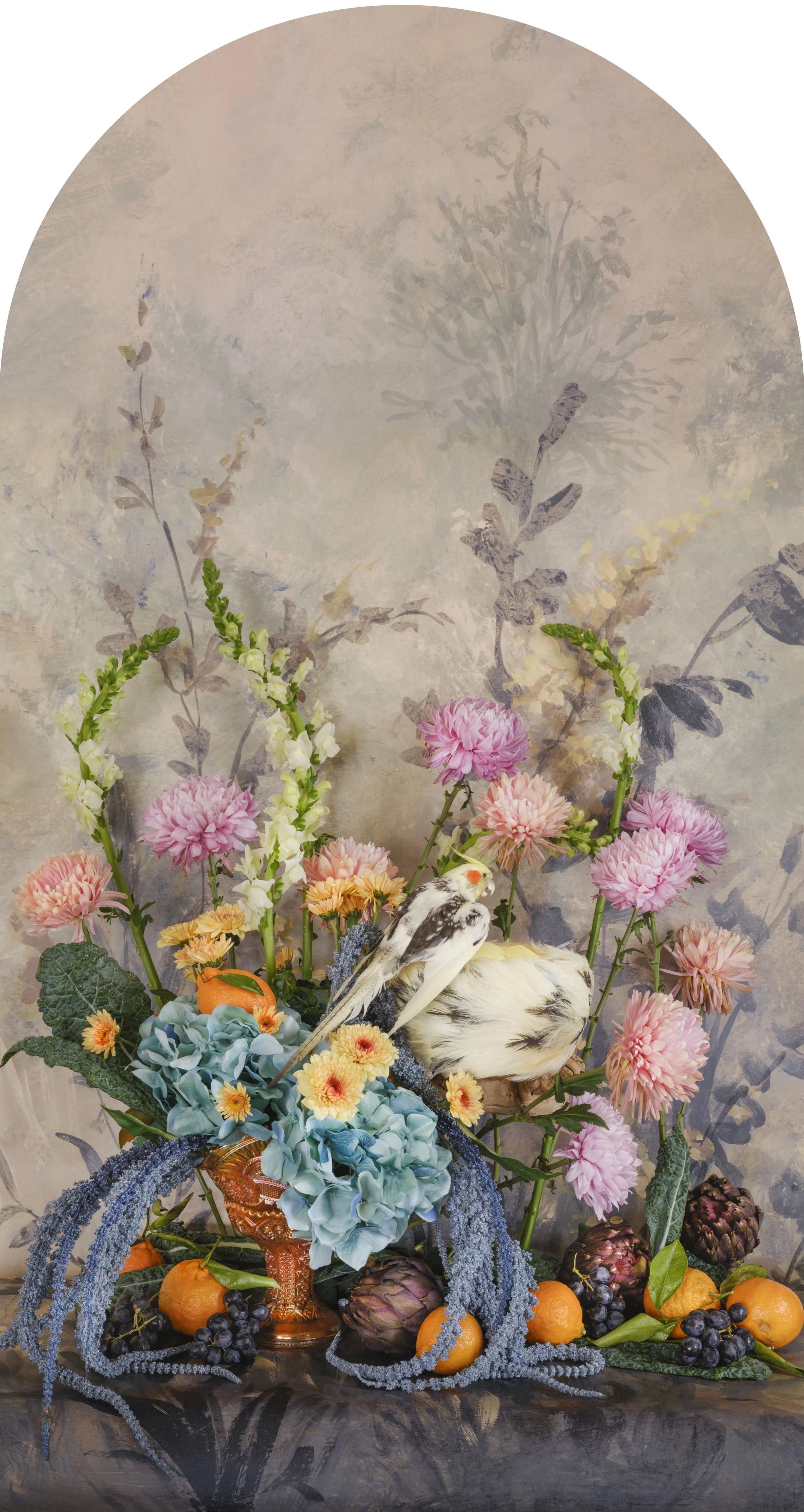 Pied Cockatiel with Mandarins Nesting, 2026