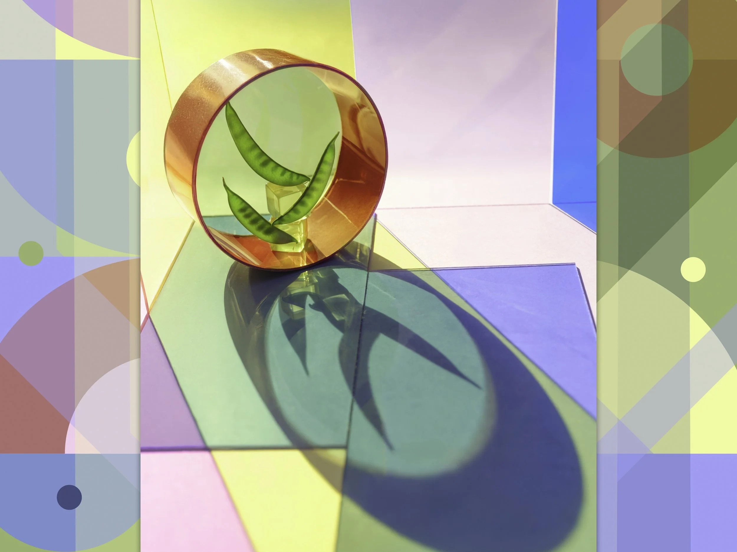 A globe-shaped object with a transparent orange outer shell, containing a smiling face made of two green plant-shaped objects as eyes and a curved green object as a mouth, set against a colorful geometric backdrop.