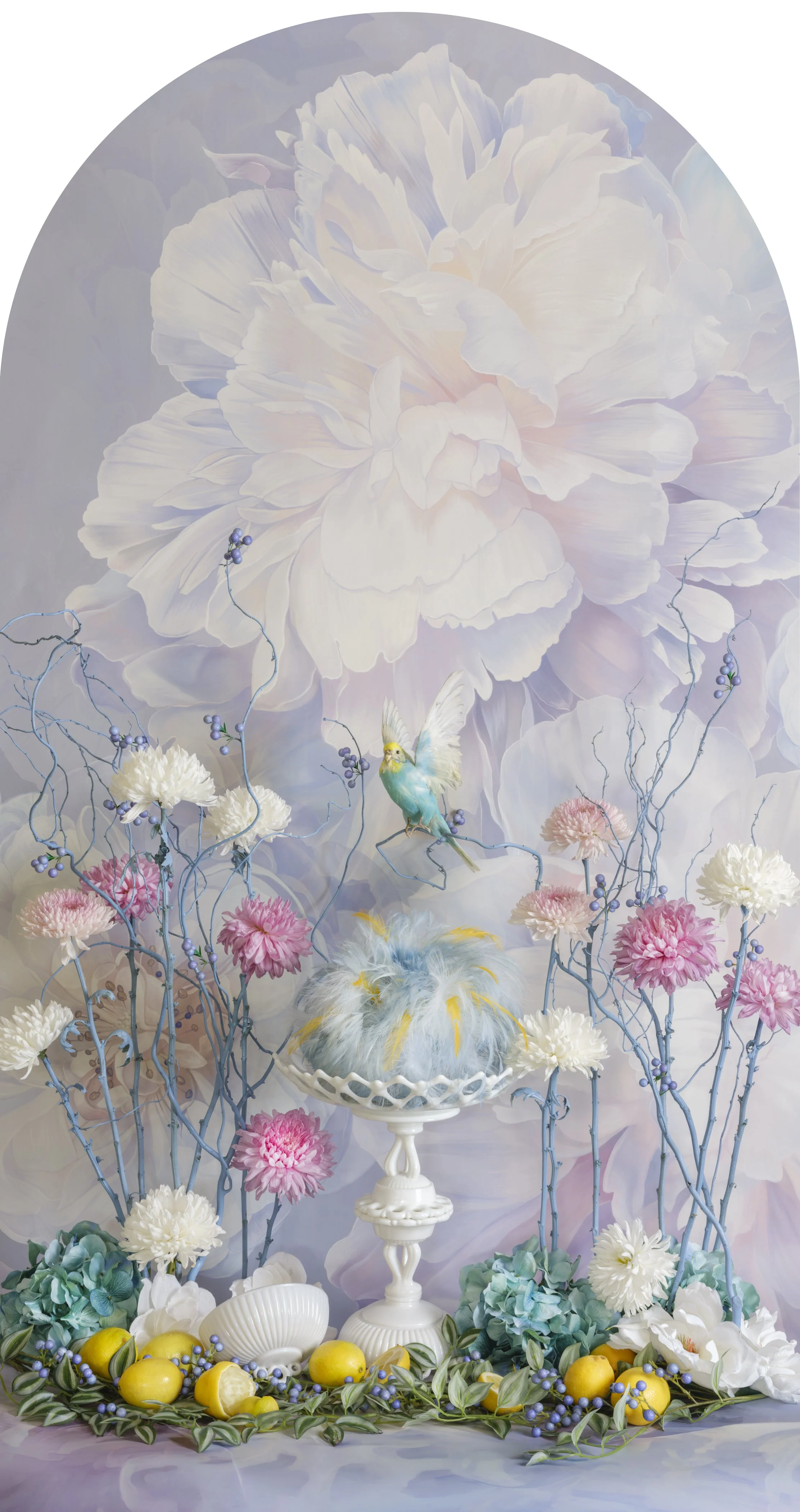 Tiel Budgie with Lemons Nesting, 2026
