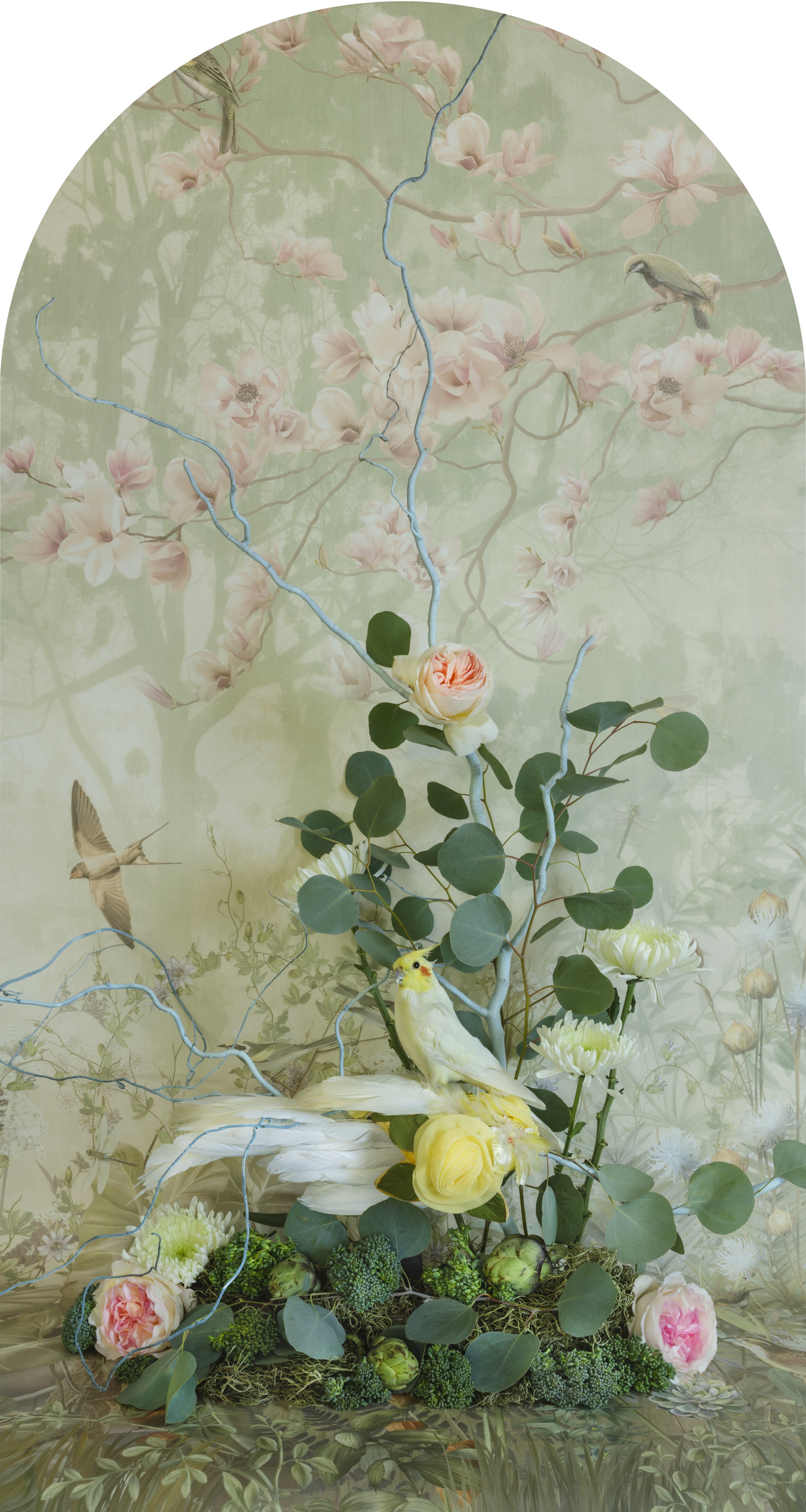 Cockatiel with Broccoli Nesting, 2026