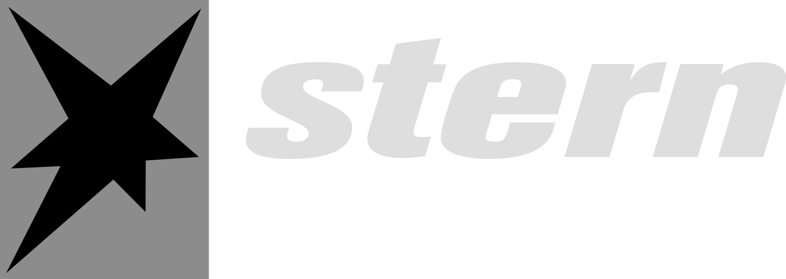 Stern-Logo_komplett.svg.png