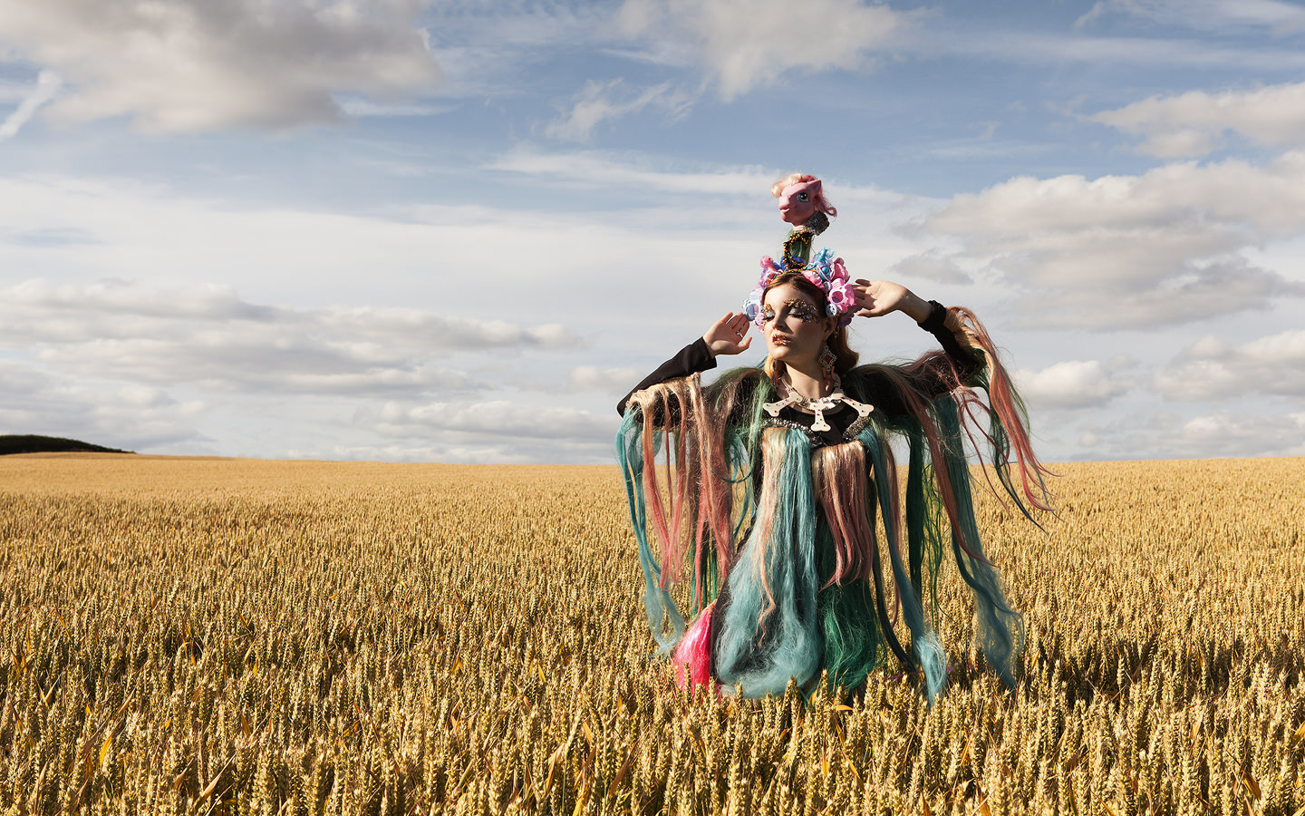   Wheat Field -&nbsp;  Warwickshire  