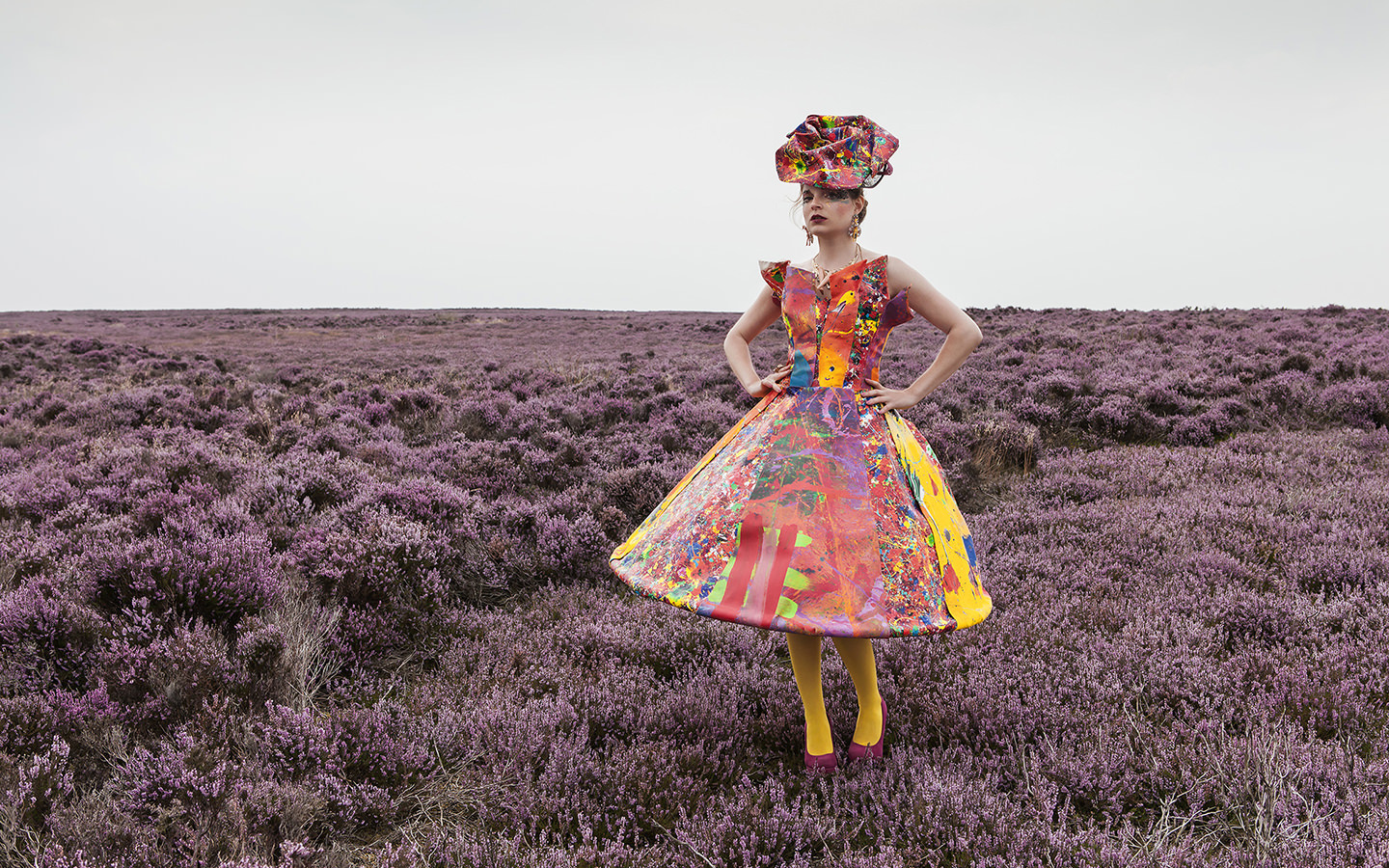   Purple Heather -  &nbsp;North Yorkshire Moors  