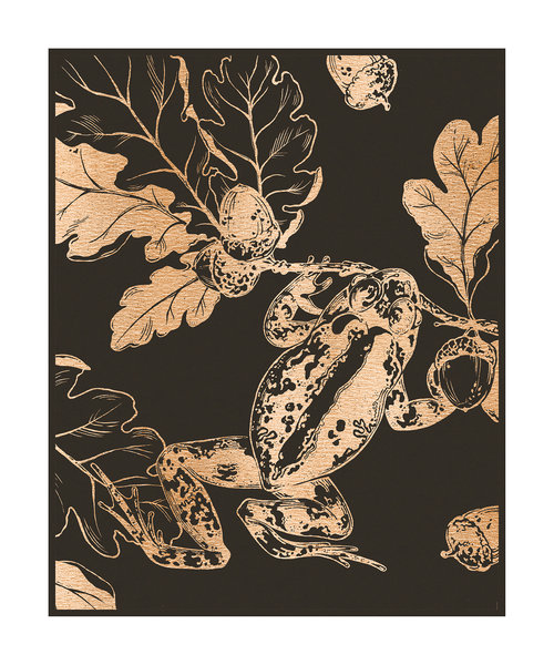 TOAD AND OAK