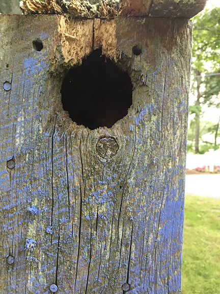 Close up of one of the old bird houses in the yard