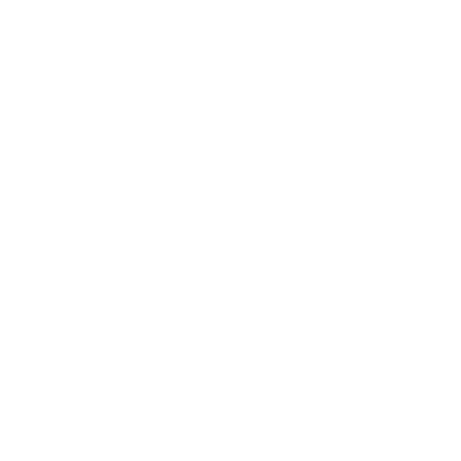 ALNAP white.png