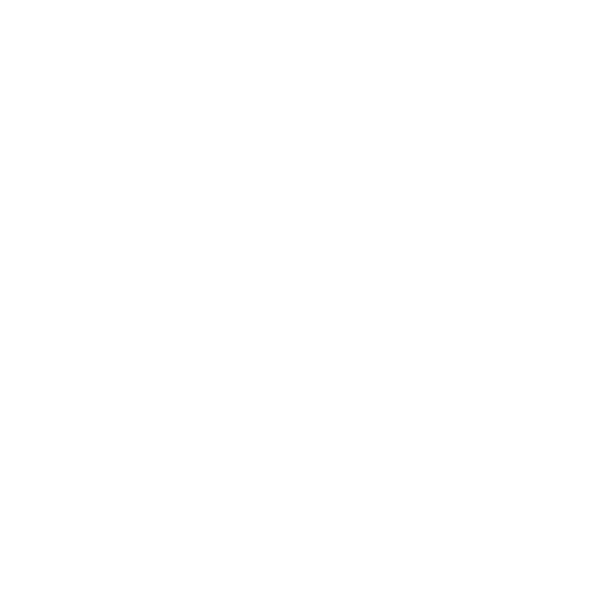IRIN.png