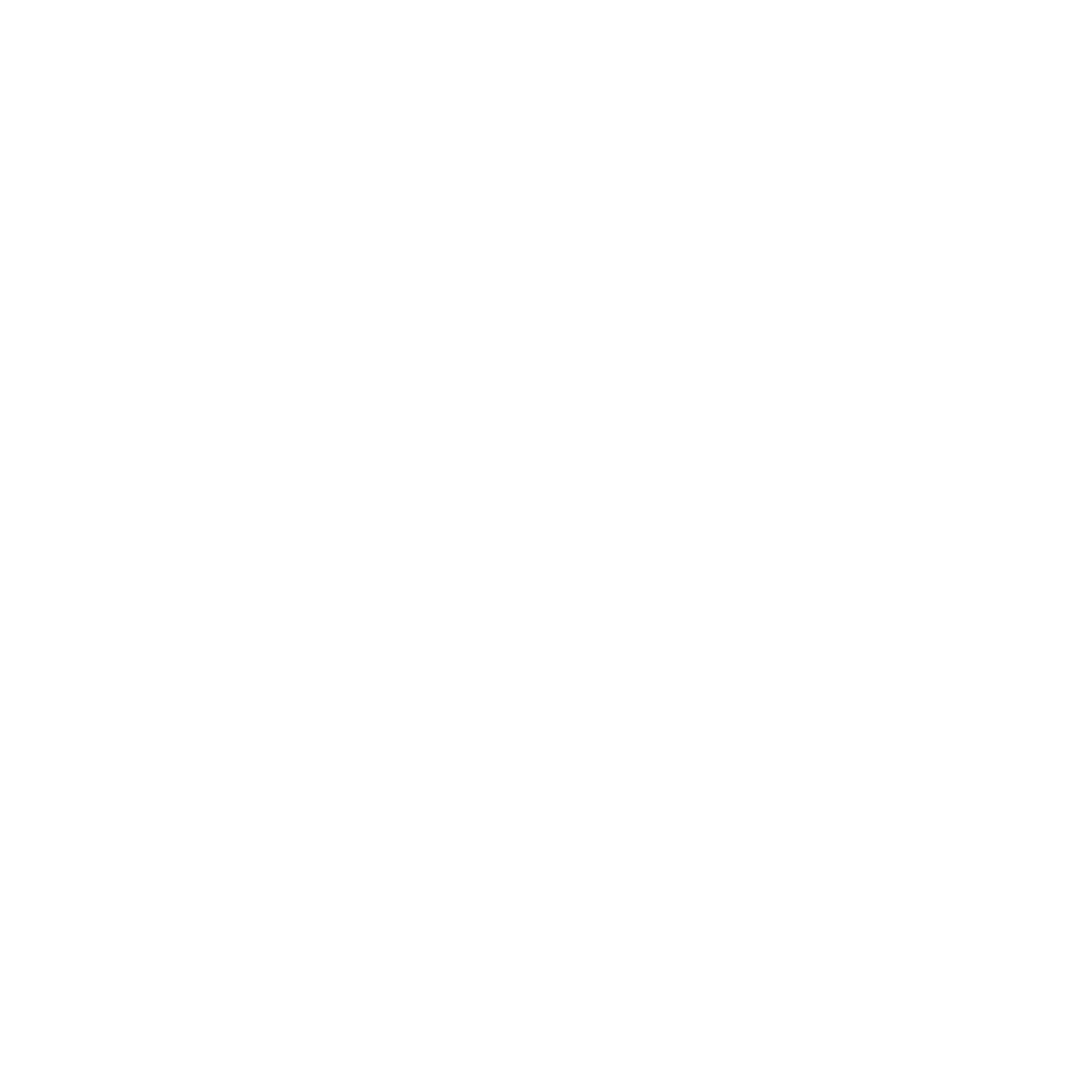 VICE_Logo.png