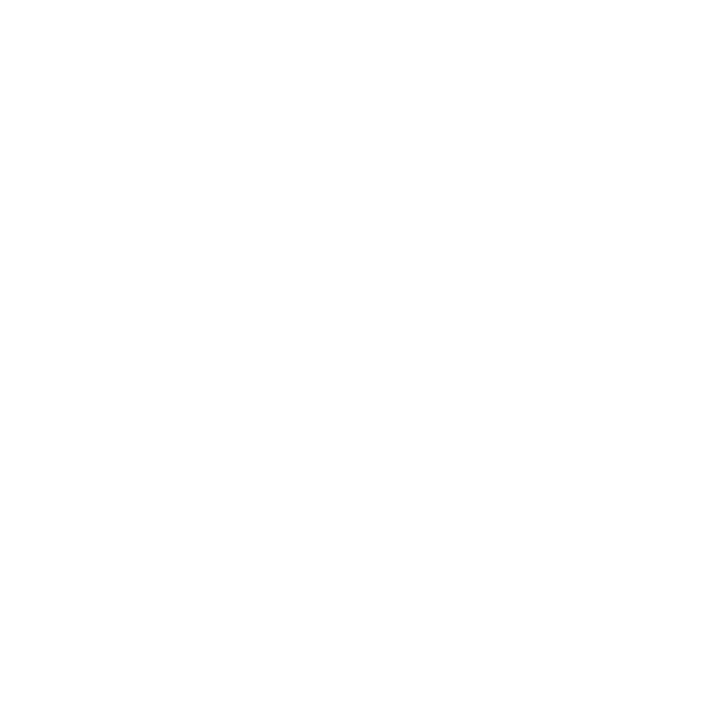 Amnesty.png