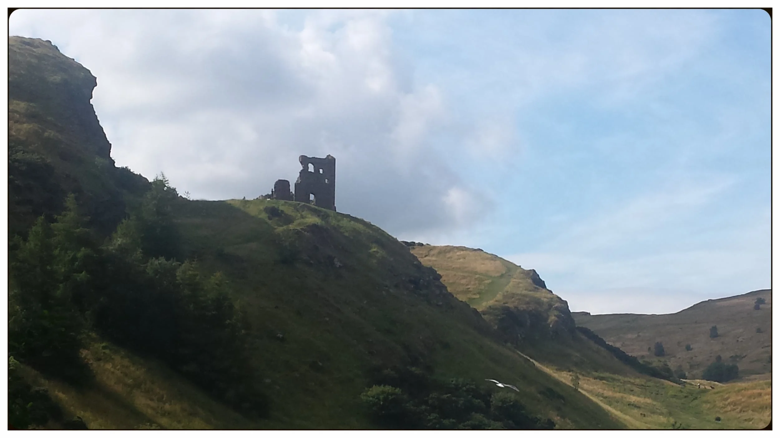 20150820_105534.jpg