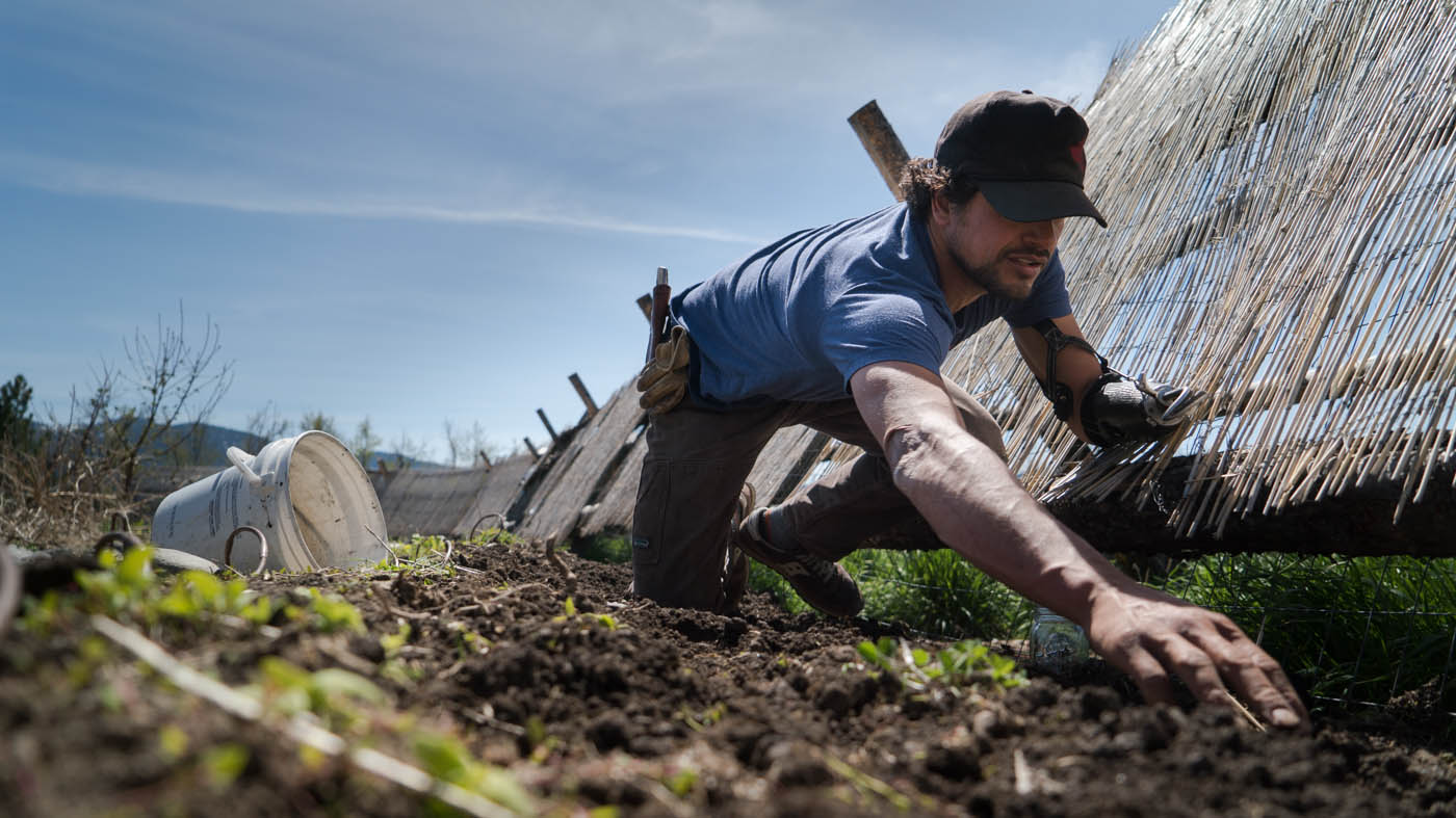 planting seeds in the garden. PHOTO: NATHAN NORBY