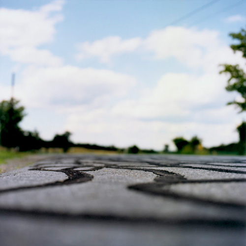Torrance York – Photography