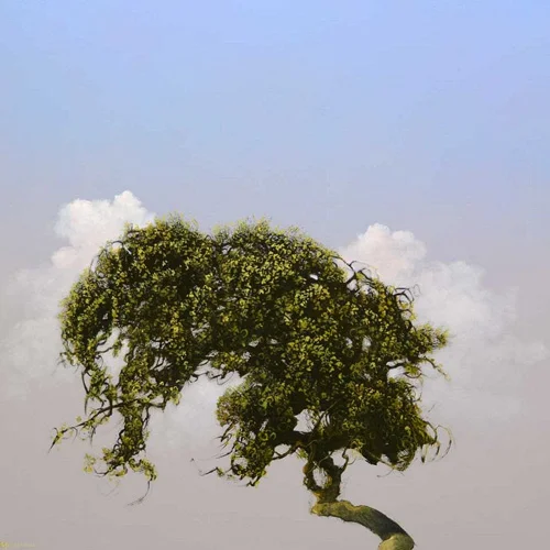 Robert Marchessault – Paintings (trees!)