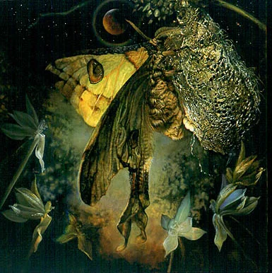 Saint Augustine in his Manichaean Phase with a Madagascar Moon Moth
