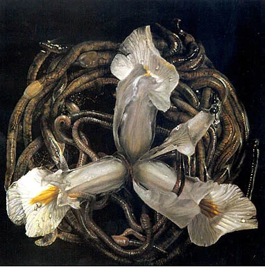 Saint Benen with Worms