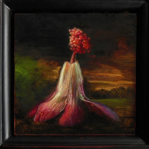 Saint Luke As a Hibiscus Illustrating a Volcano