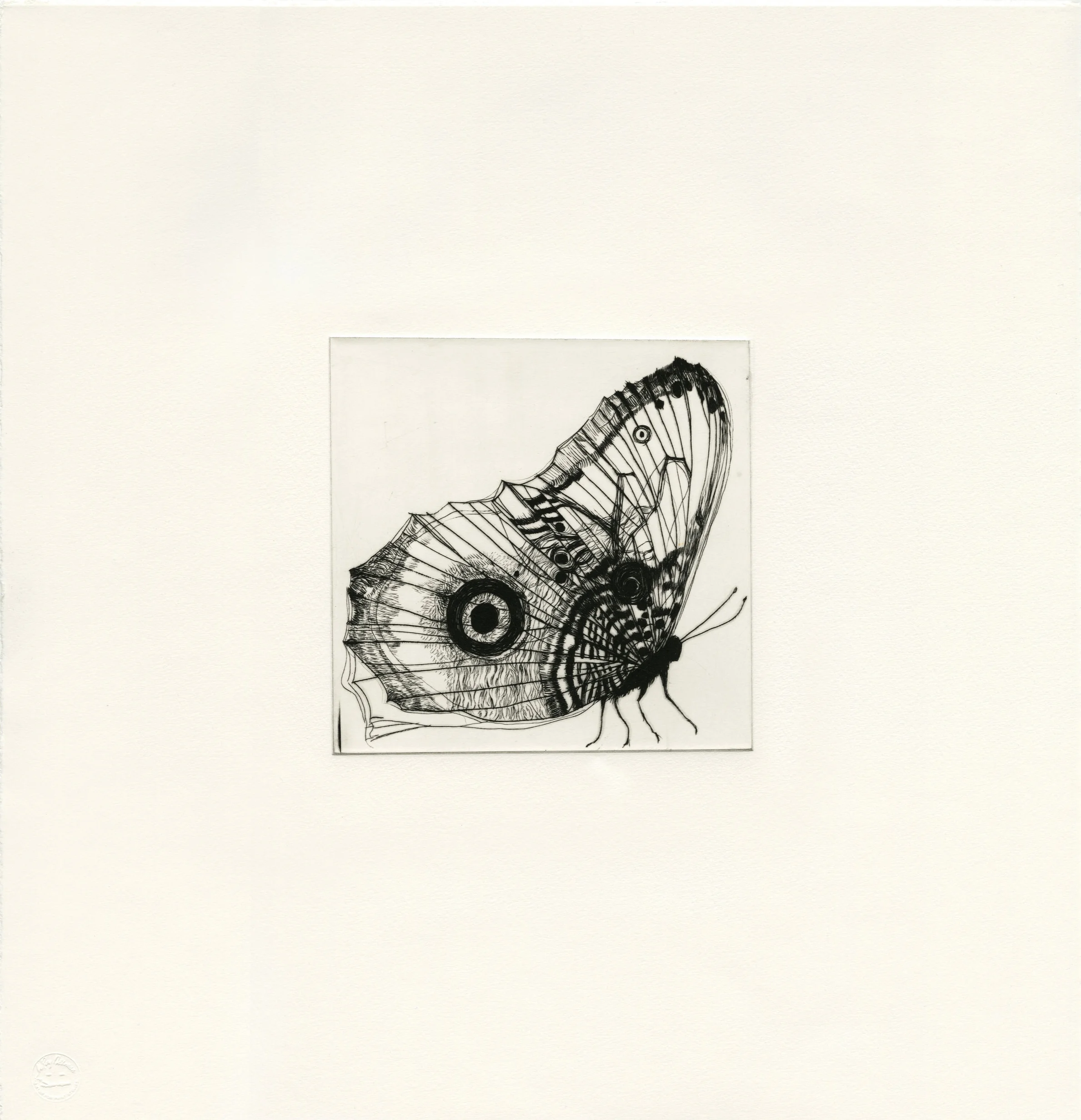 Untitled IV