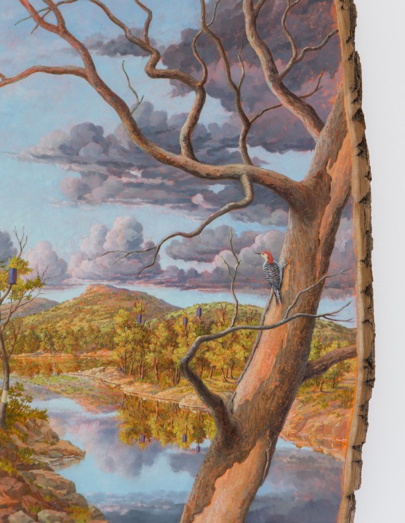 Idealized Views of Nature on Logs