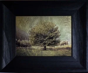 Perfect Tree I