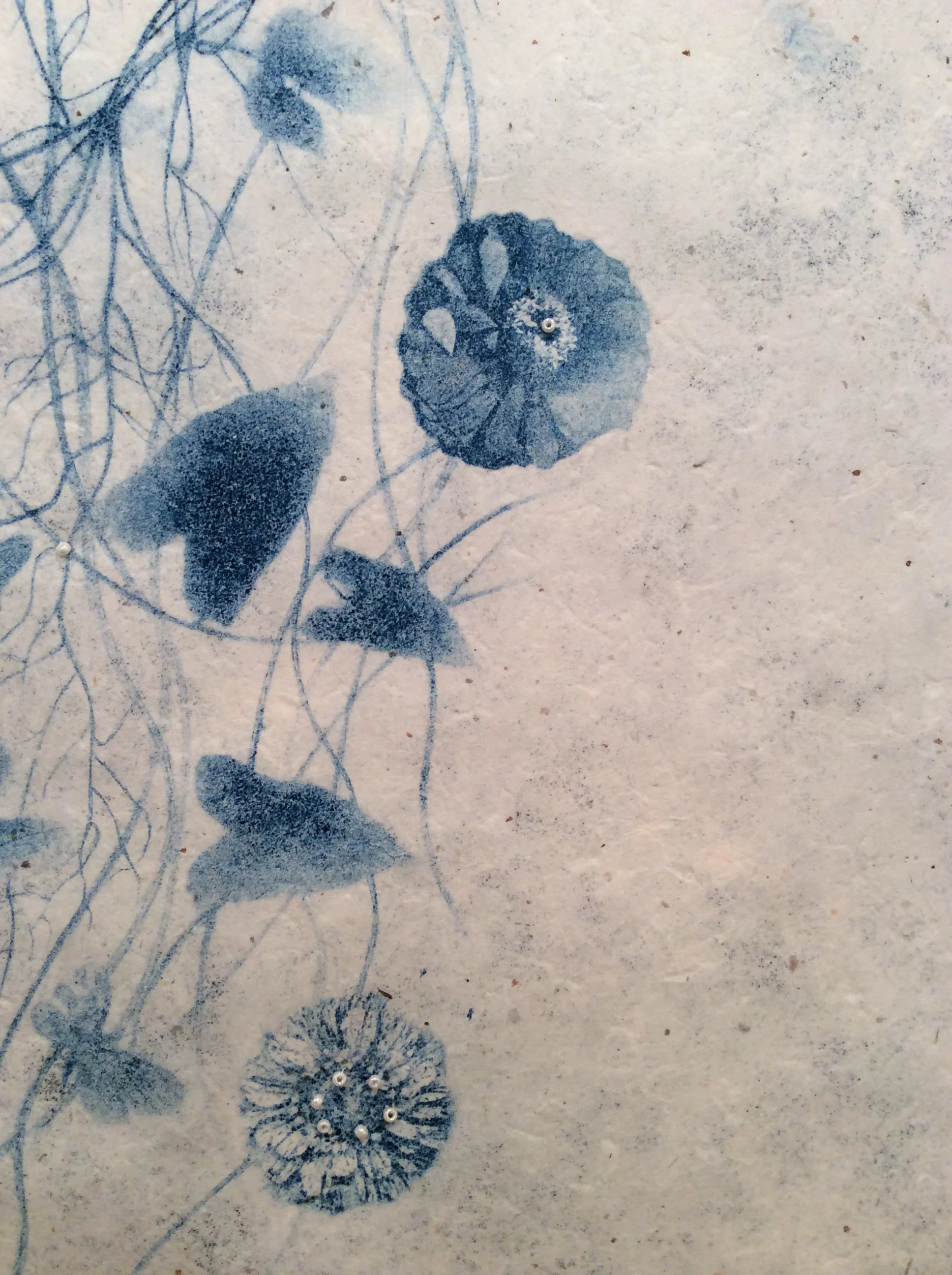 Anemone (detail)