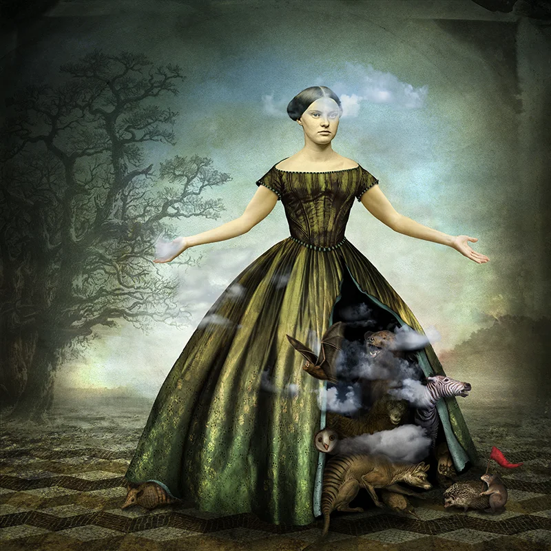 The menagerie