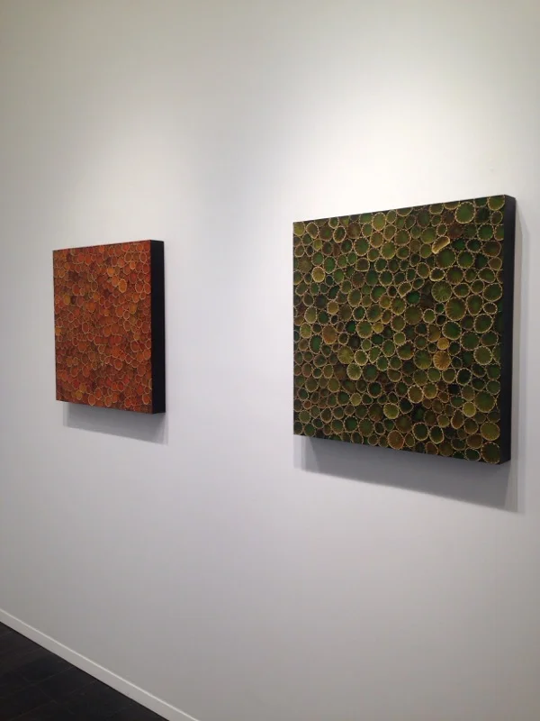 Mayme Kratz, Spring Bloom 5 , 2017, resin and poppy pods on panel, 24x24 Mayme Kratz, Spring Bloom 6 , 2017, resin and poppy pods on panel, 24x24