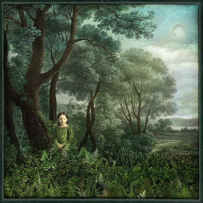 Into the wood
