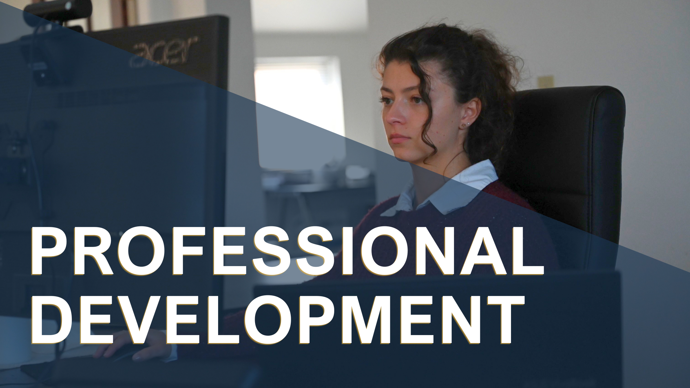 Professional Development.png