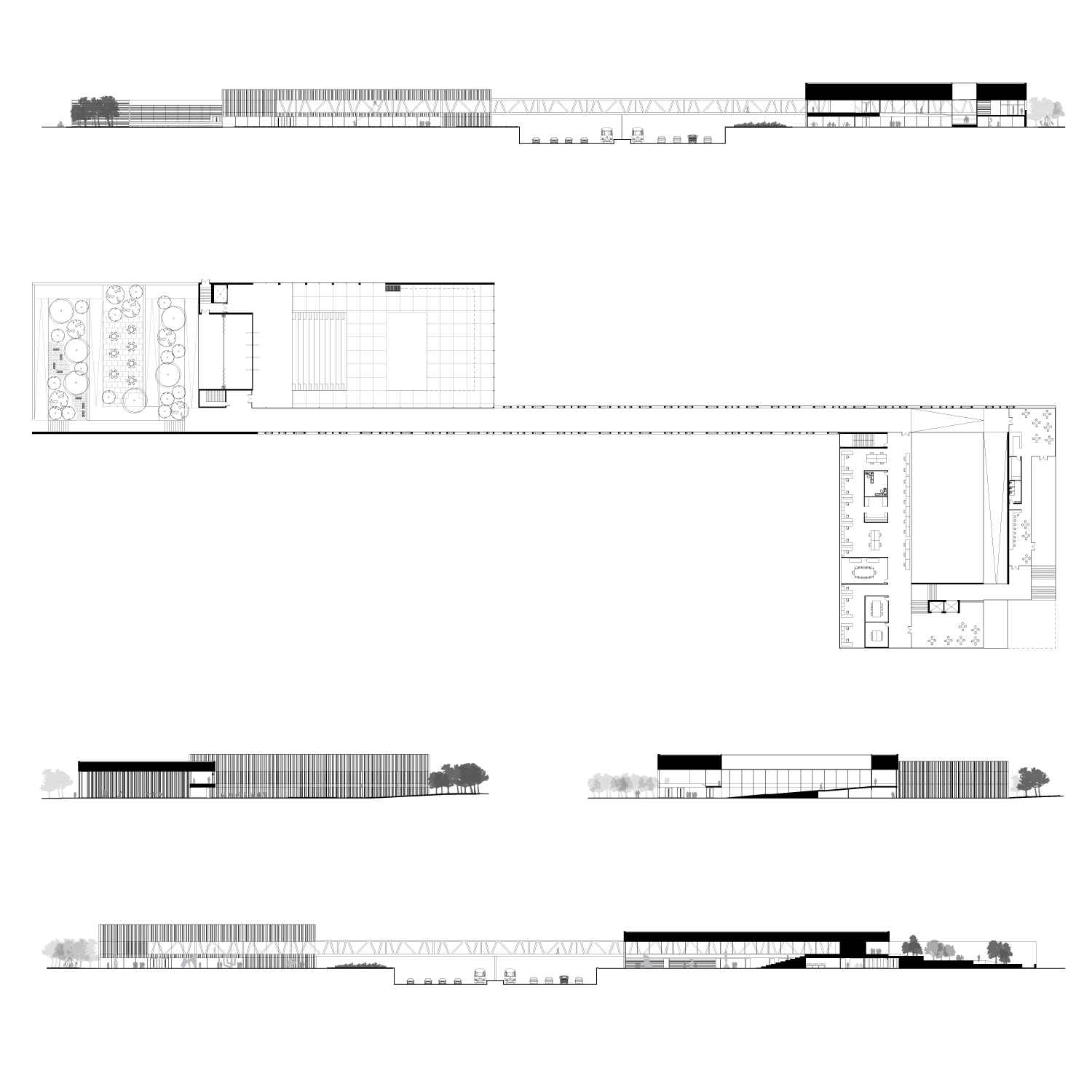 section-and-plan.png