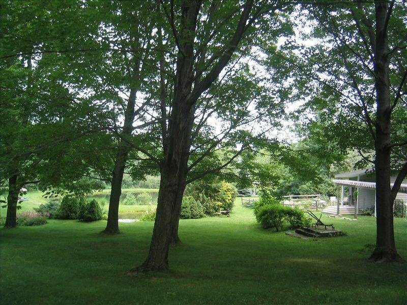 Approaching the cottage from the driveway