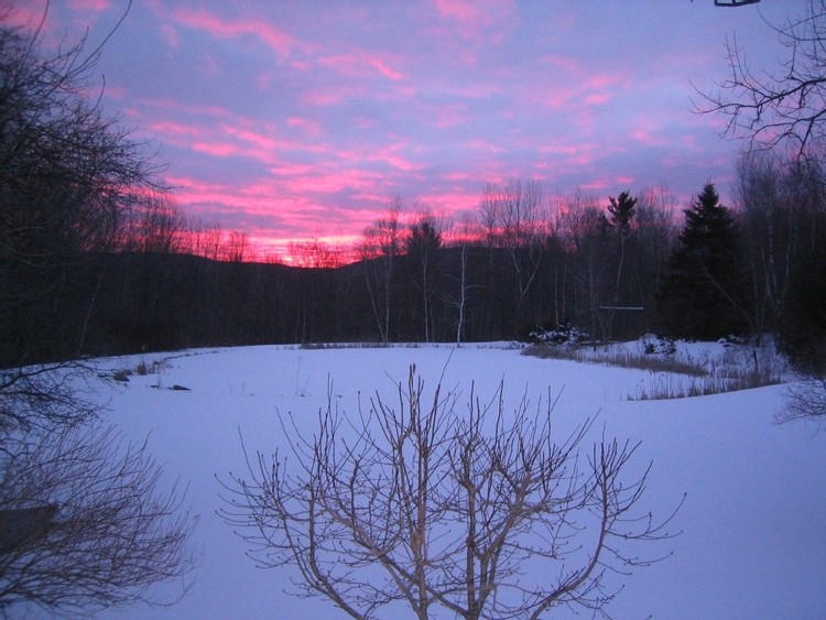 Sunrise over the pond