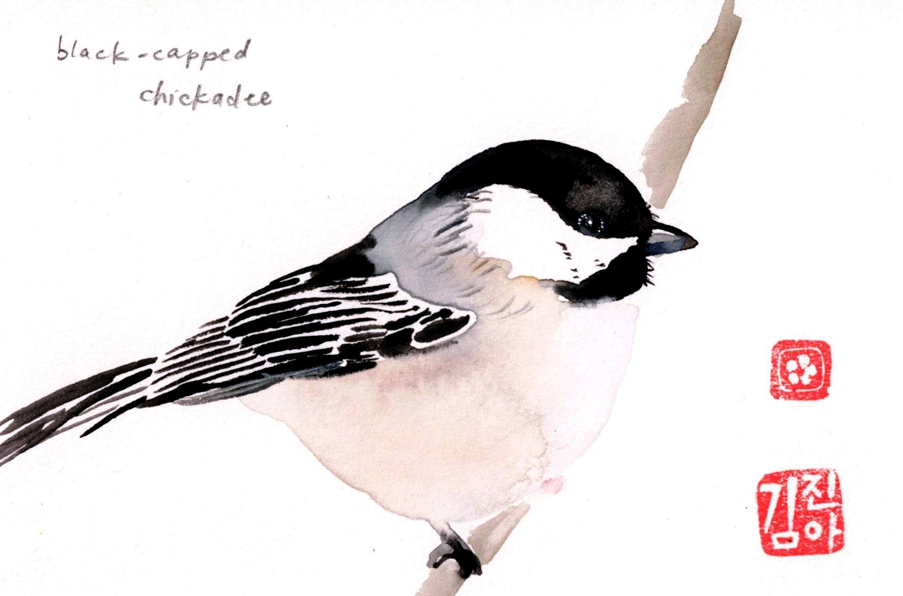 blackcapped chickadee copy.jpg