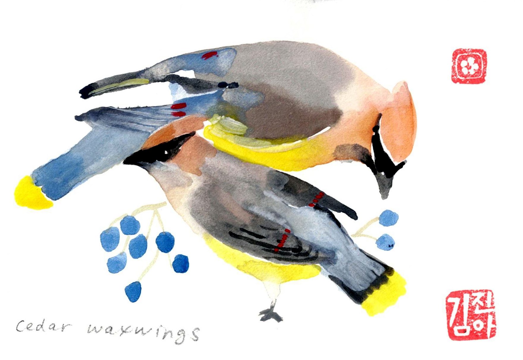 cedar waxwing pair copy.jpg
