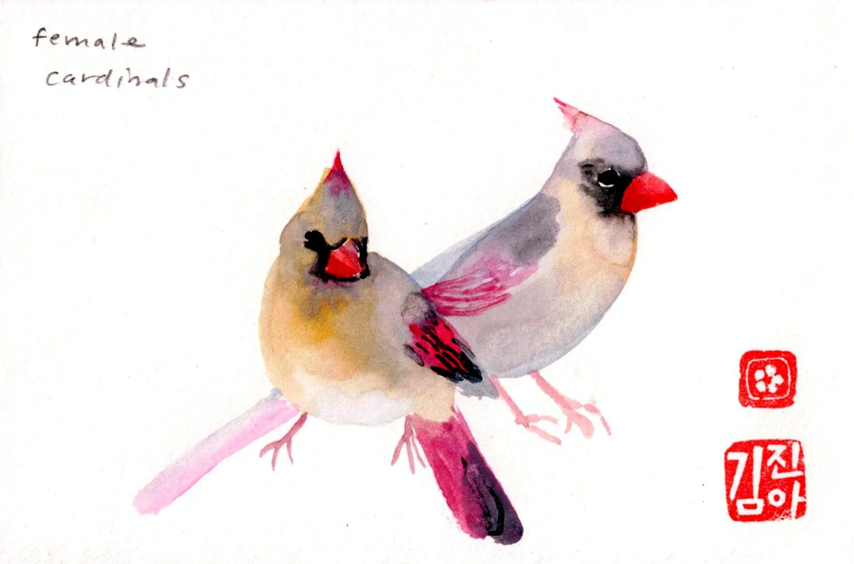 female cardinals copy.jpg