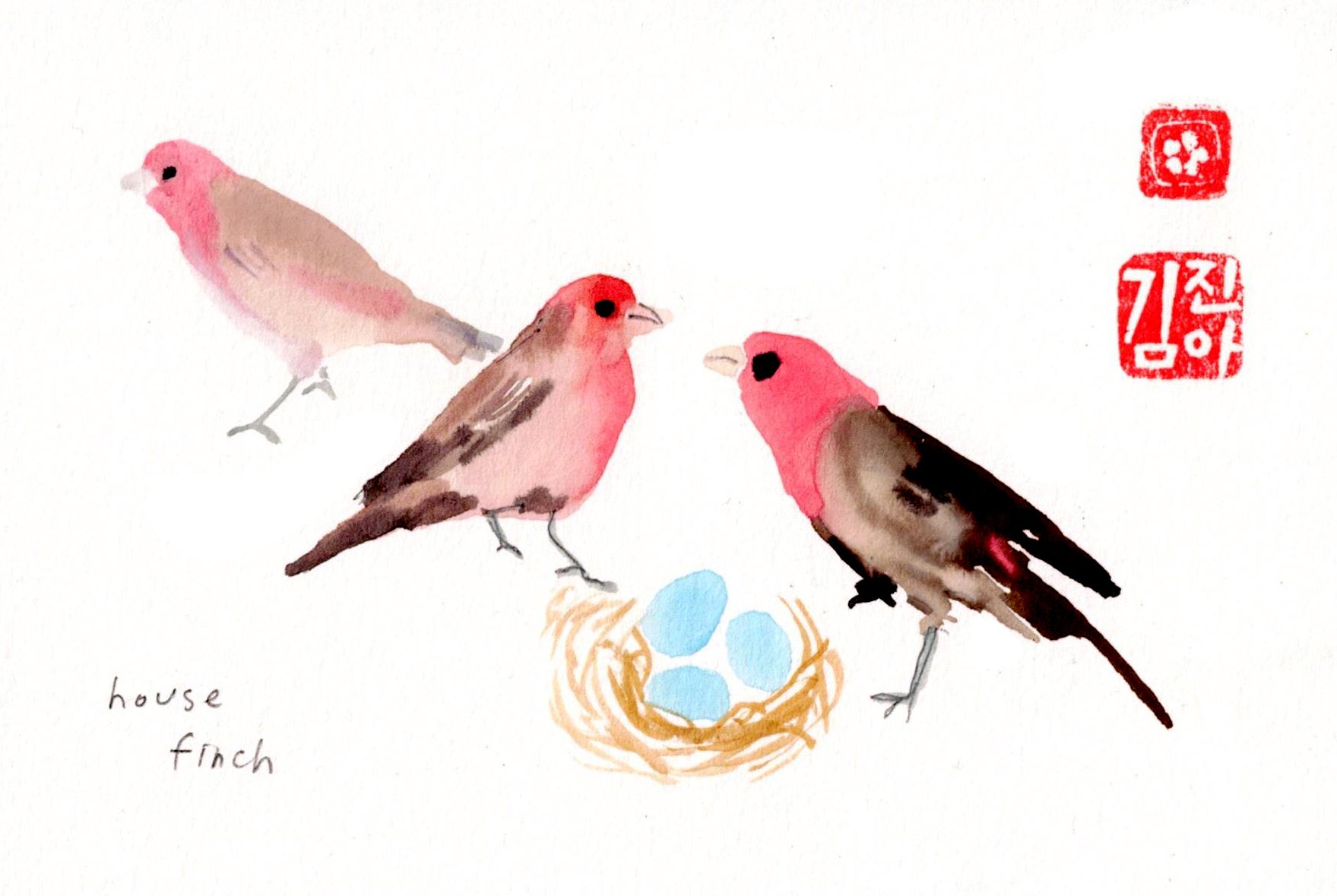 house finch copy.jpg