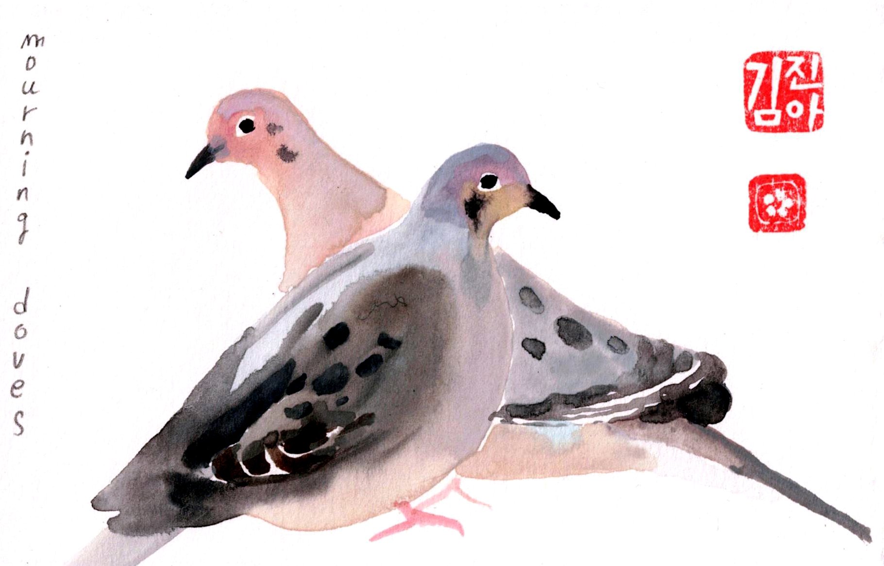 mourning dove pair copy.jpg